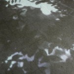 http://6k33a795j3eptat6.lightizm.com/files/gimgs/th-76_71_Nostalgia1_v2.jpg